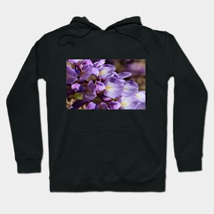 flowers Hoodie